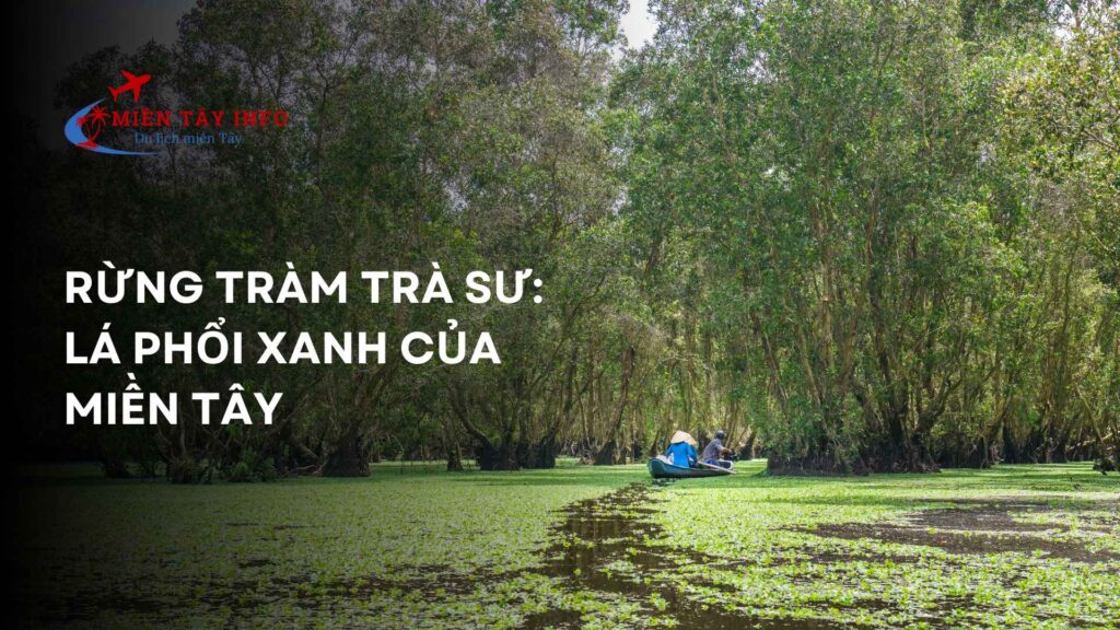Rừng tràm Trà Sư: Lá phổi xanh của miền Tây