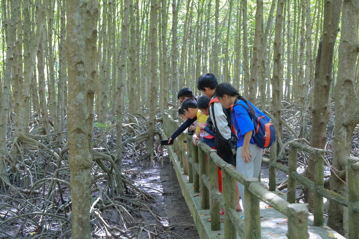 Hội trại kỹ năng sinh tồn