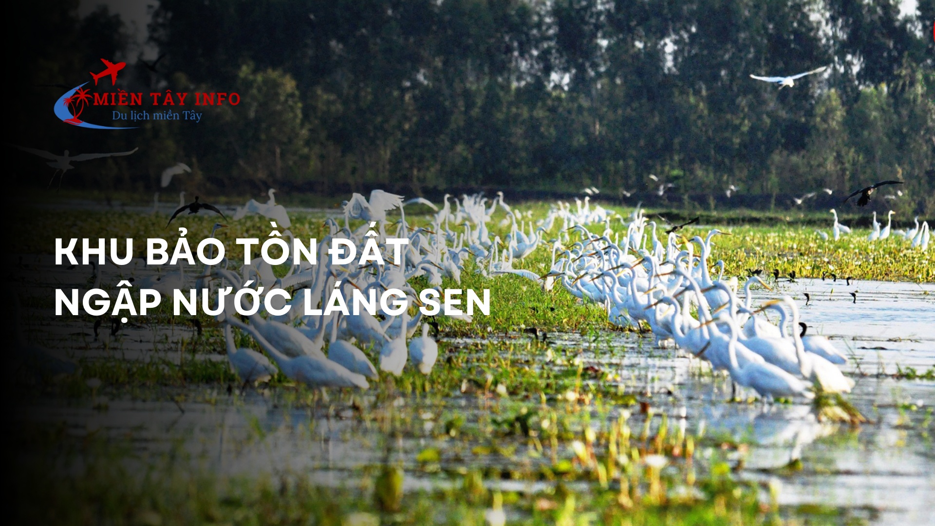Khu bảo tồn đất ngập nước Láng Sen