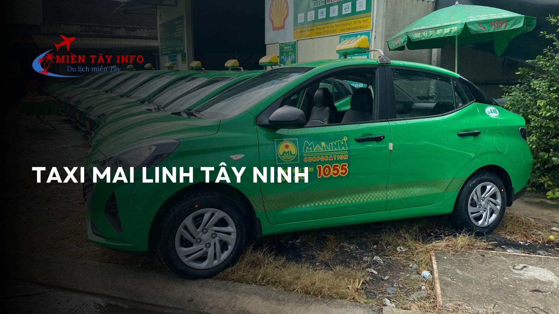 Taxi Mai Linh Tây Ninh