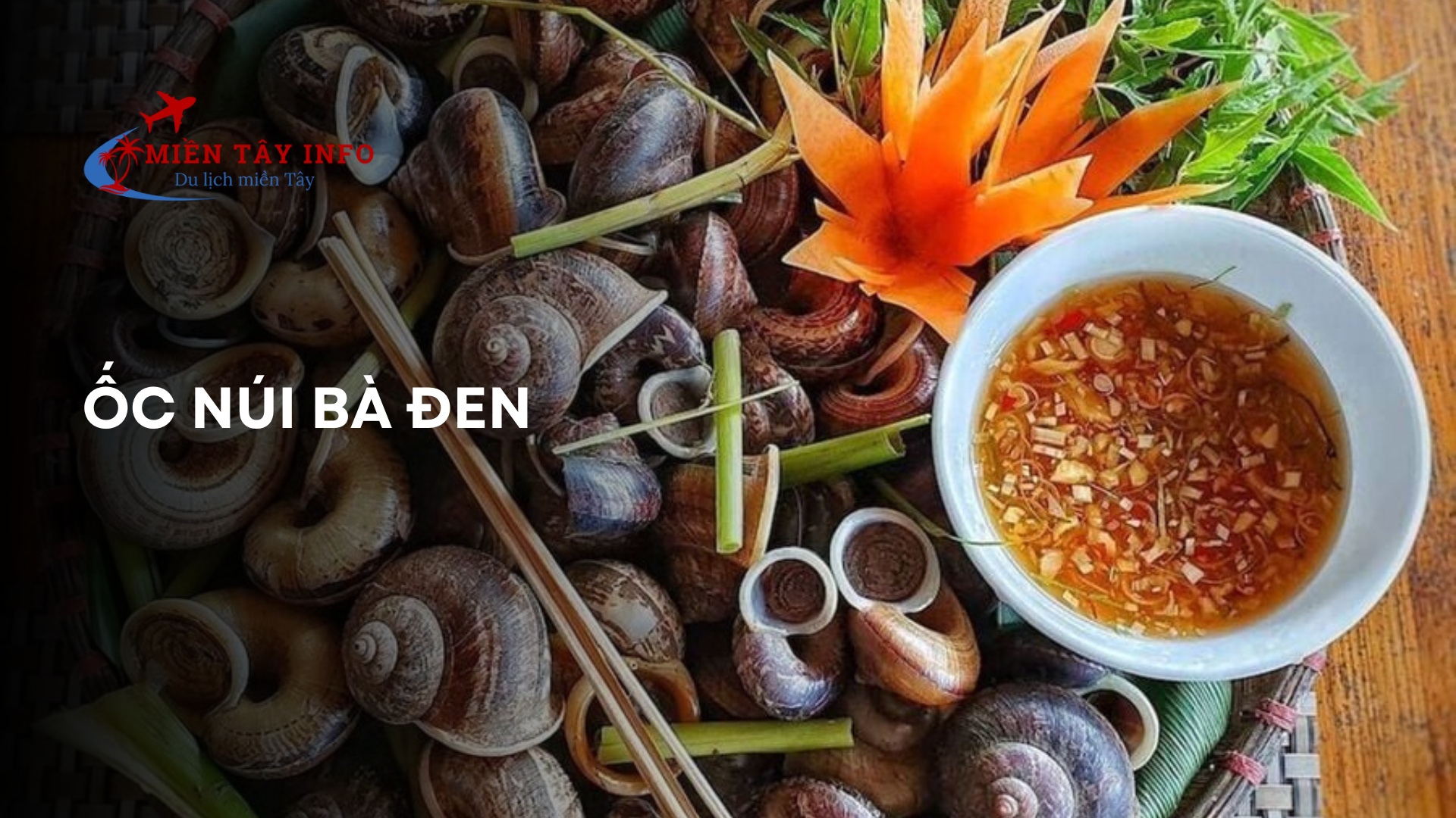 Ốc núi Bà Đen