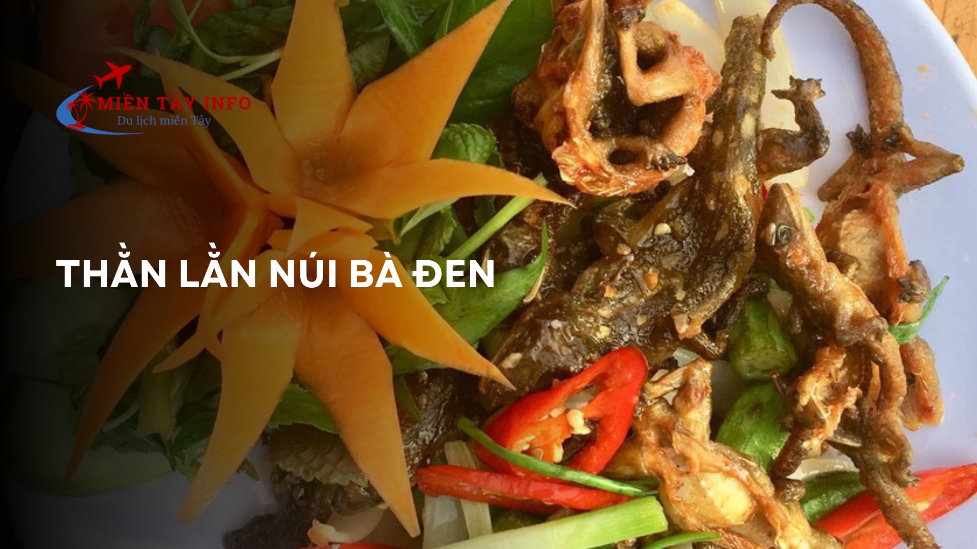 Thằn lằn núi Bà Đen