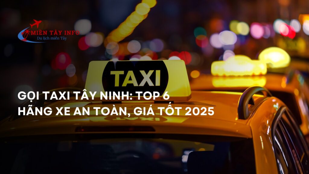 Gọi Taxi Tây Ninh: Top 6 Hãng Xe An Toàn, Giá Tốt 2025