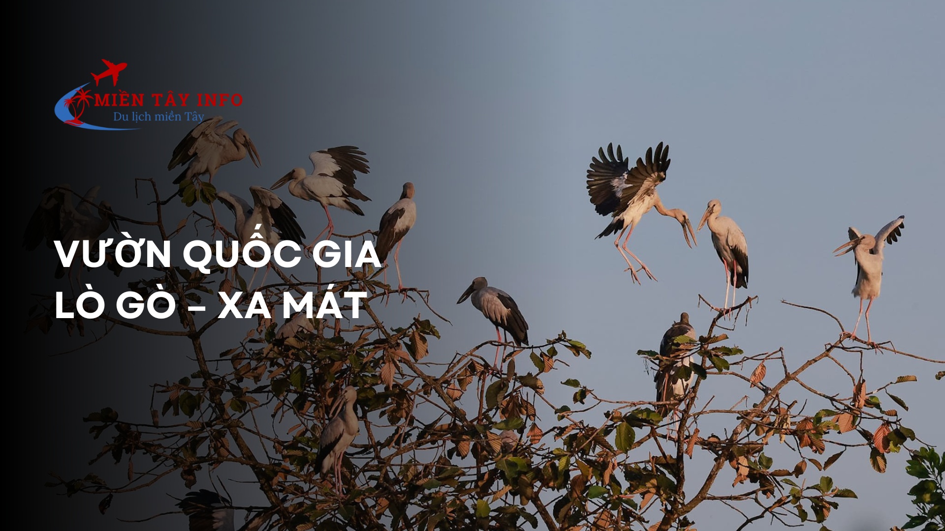 Vườn Quốc gia Lò Gò – Xa Mát