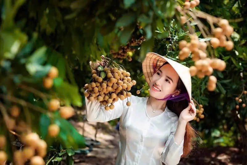 Vườn Nhãn Cổ